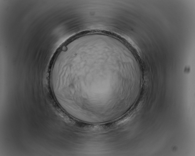 X0000102010879200808081722