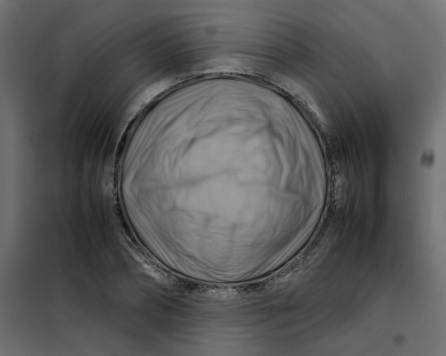 X0000102010882200808081722