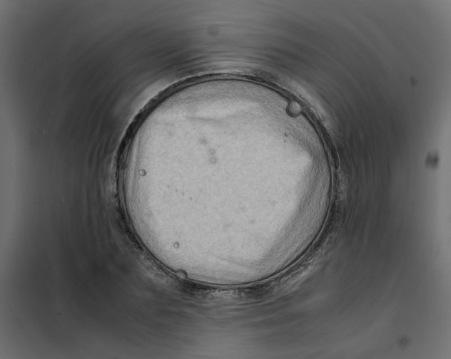 X0000102010883200808081722