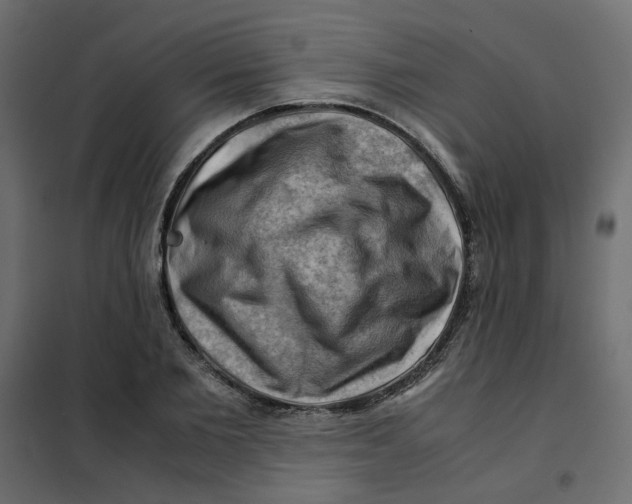 X0000102010885200808081722