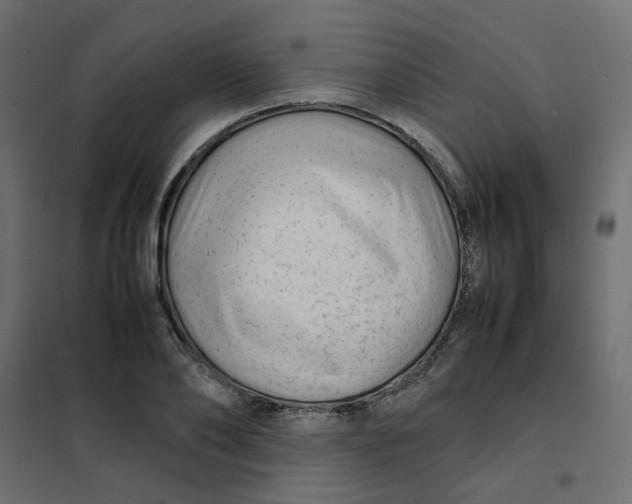 X0000102010886200808081722