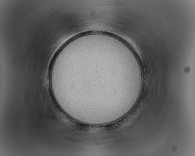 X0000102010887200808081722