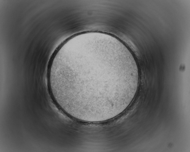 X0000102010888200808081722