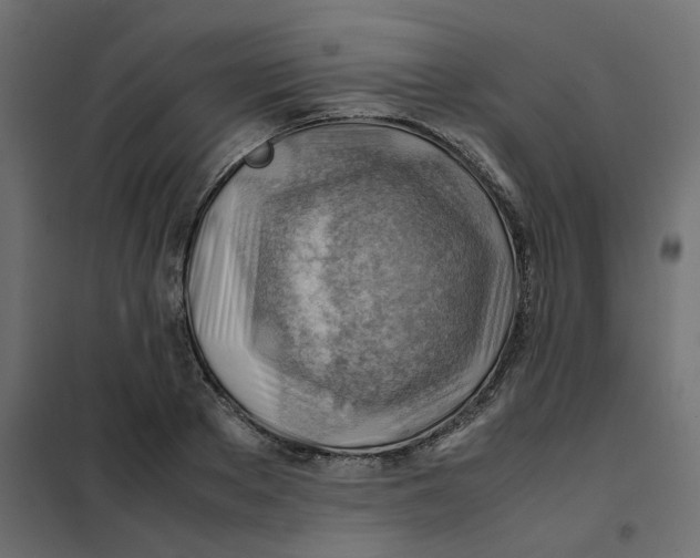 X0000102010889200808081722