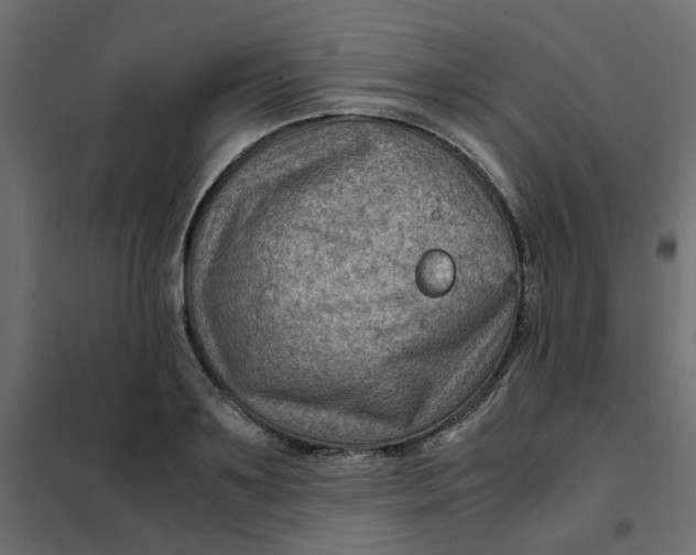 X0000102010891200808081722