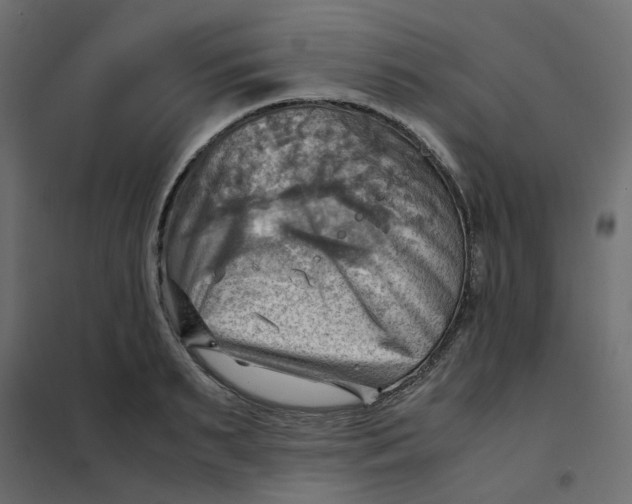 X0000102010895200808081722