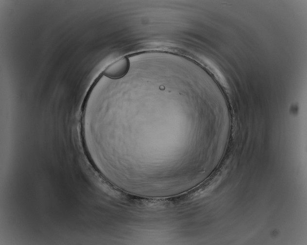 X0000102010899200808081721