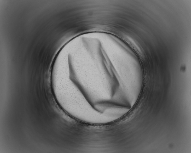 X0000102010900200808081721