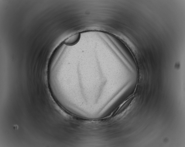 X0000102010902200808081721