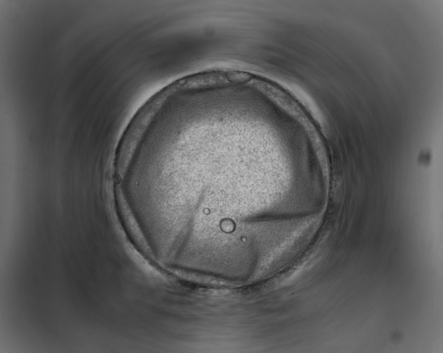 X0000102010903200808081721