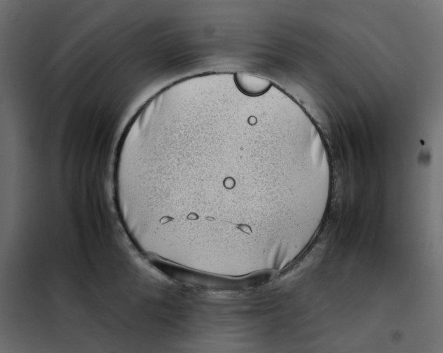 X0000102010904200808081721