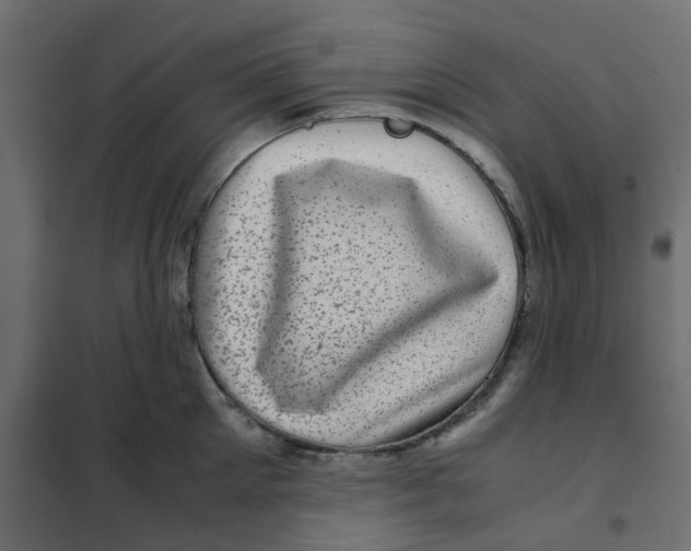 X0000102010905200808081721