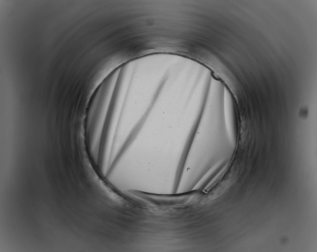 X0000102010906200808081721