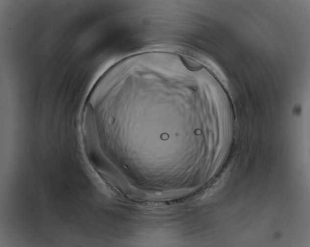 X0000102010907200808081721