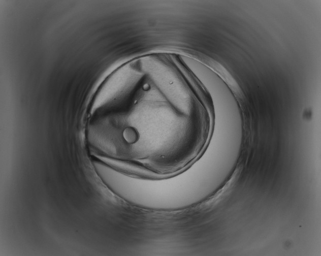 X0000102010908200808081721