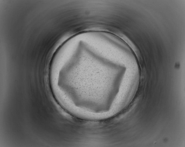 X0000102010909200808081721