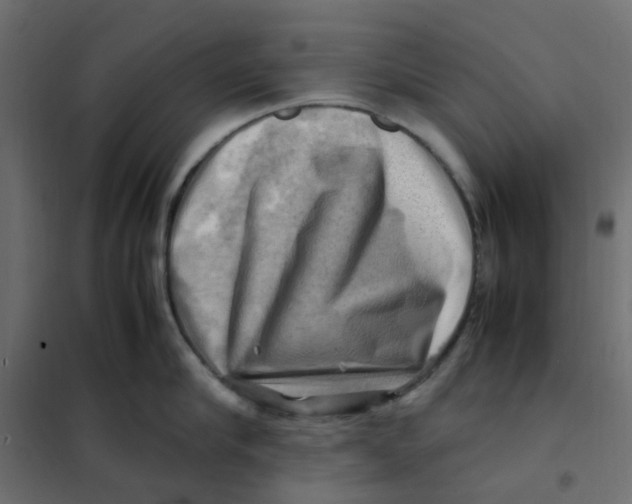 X0000102010910200808081721