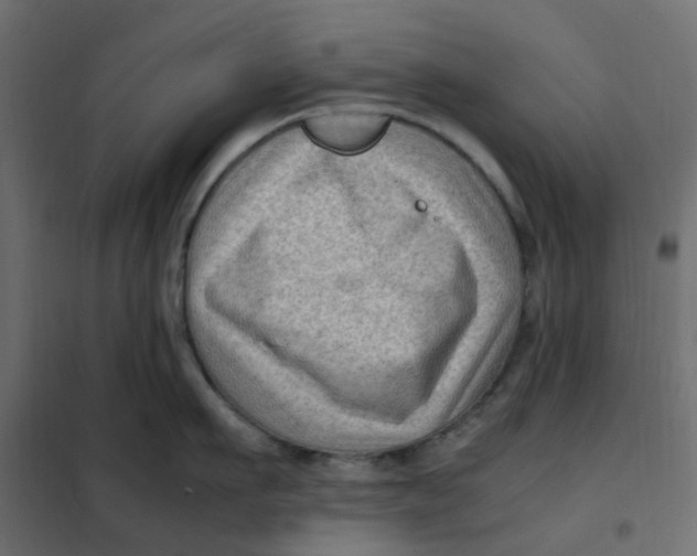 X0000102010911200808081721