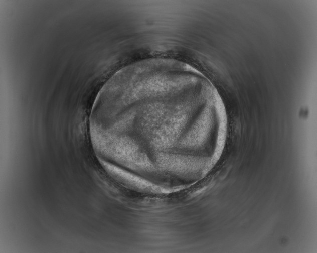 X0000102010914200808081721