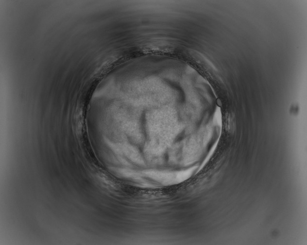 X0000102010915200808081721