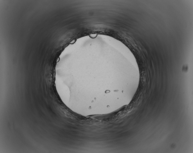 X0000102010916200808081721