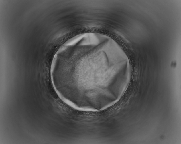 X0000102010917200808081721