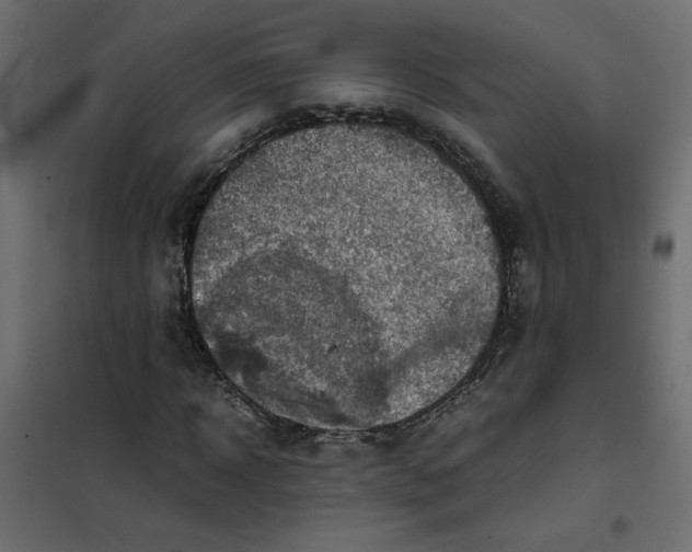 X0000102010918200808081721