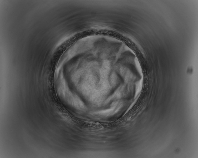 X0000102010919200808081721