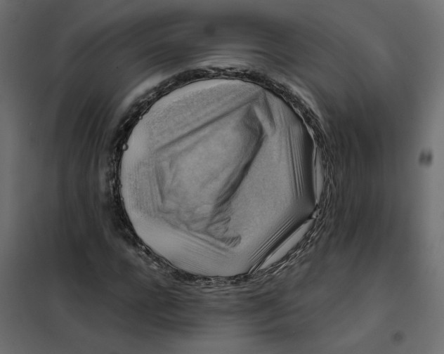 X0000102010920200808081721