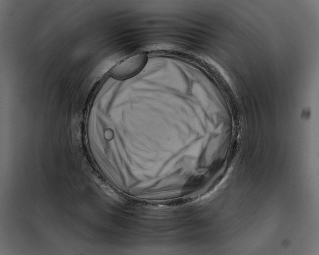 X0000102010921200808081721