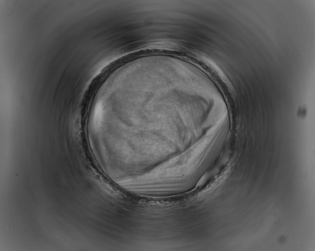 X0000102010923200808081721