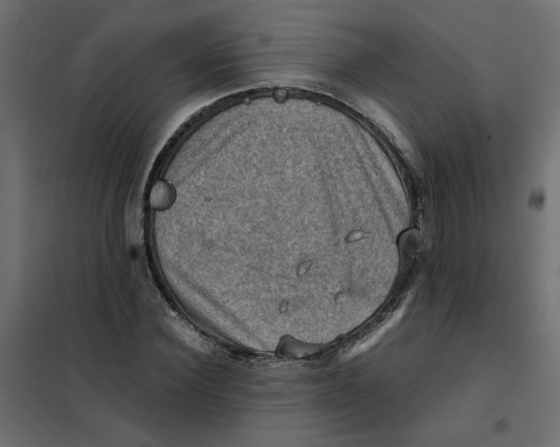 X0000102010924200808081721