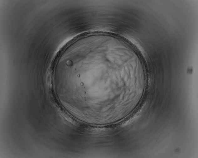 X0000102010925200808081721