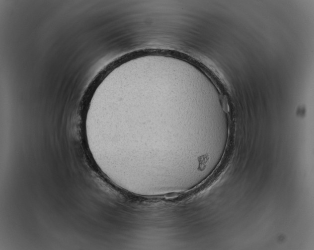 X0000102010926200808081721