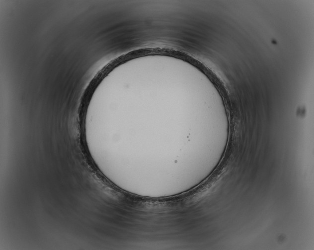 X0000102010927200808081721