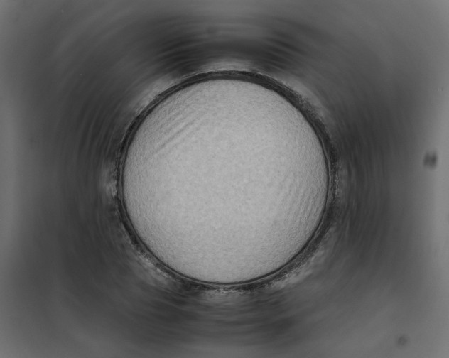 X0000102010929200808081721