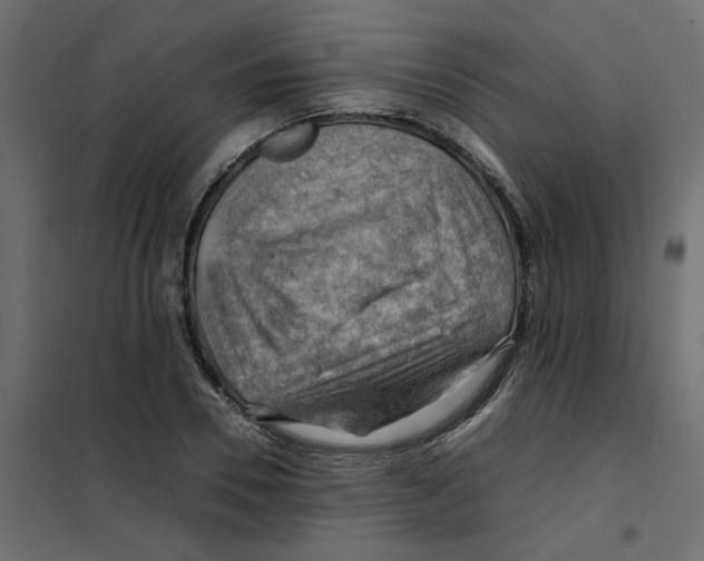 X0000102010930200808081721