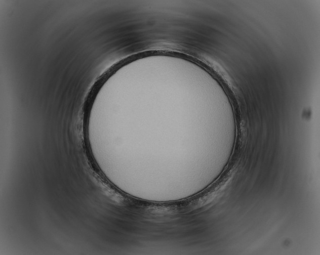 X0000102010931200808081721