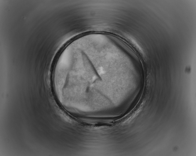 X0000102010932200808081721