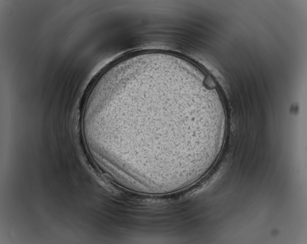 X0000102010933200808081721