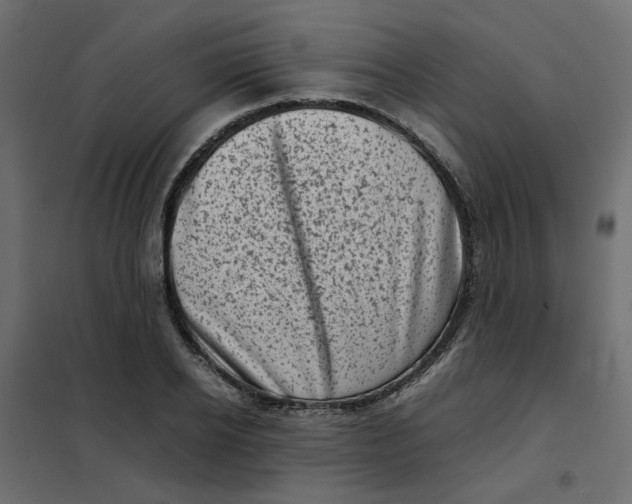 X0000102010934200808081721