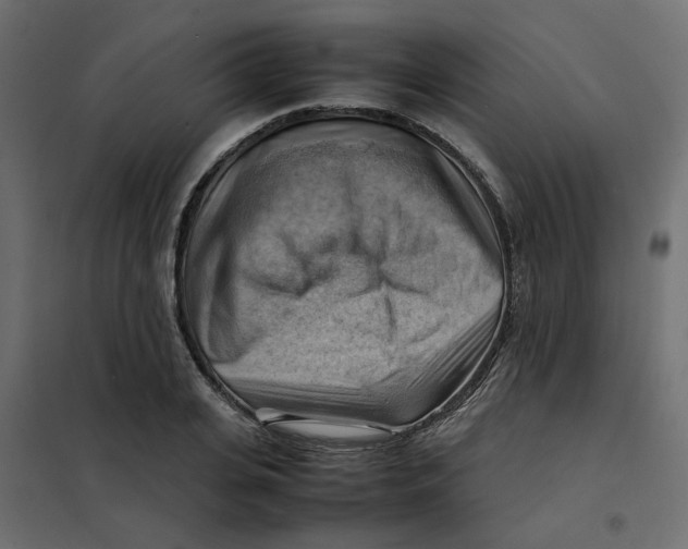 X0000102010935200808081721