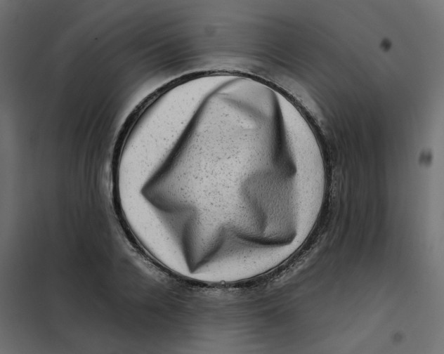 X0000102010936200808081721