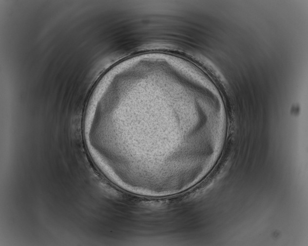 X0000102010937200808081721