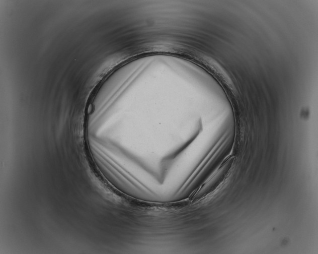 X0000102010938200808081721