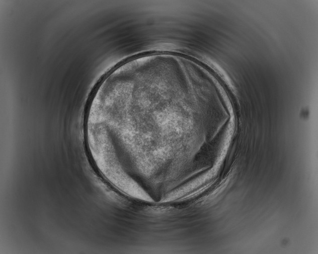 X0000102010939200808081721