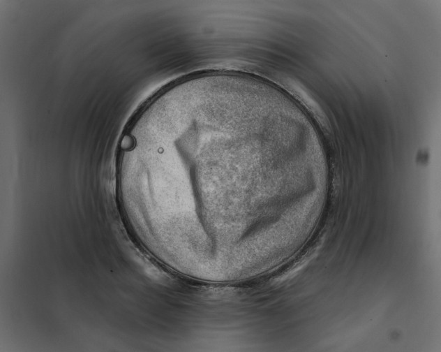 X0000102010940200808081721