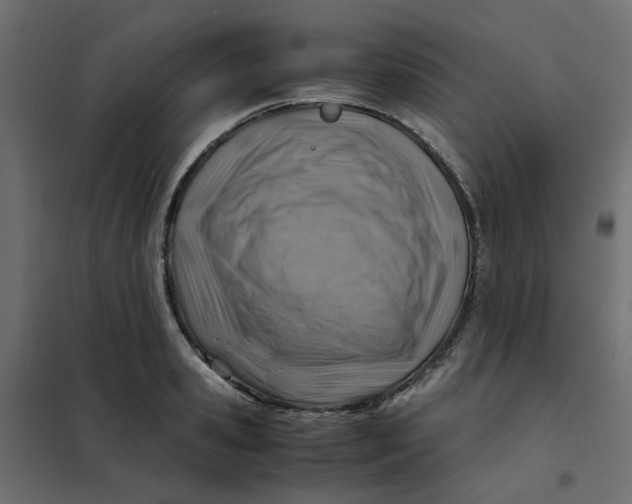 X0000102010941200808081721