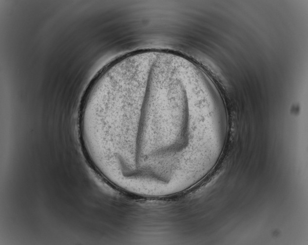 X0000102010942200808081721