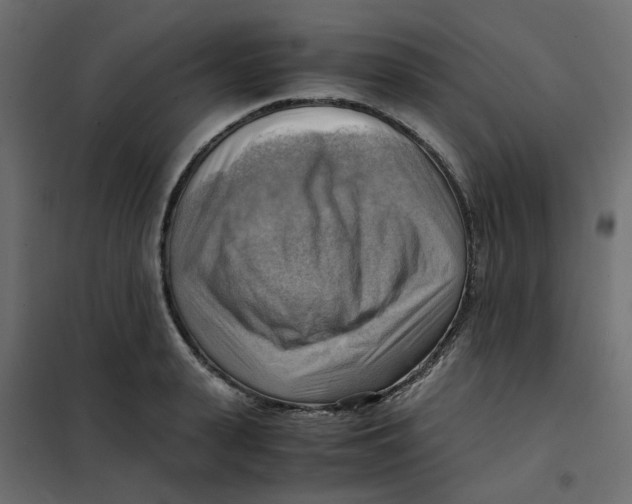 X0000102010943200808081721